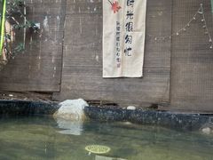 -西安国际创新人才交流中心•药浴温泉