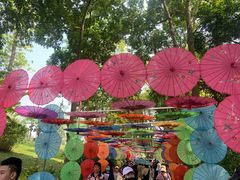 -广西壮族自治区药用植物园