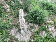 -北京海洋馆