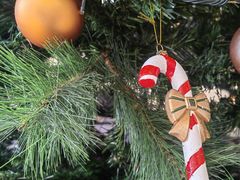 -和平宾馆(王府井店)