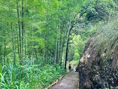 -江西龙虎山景区