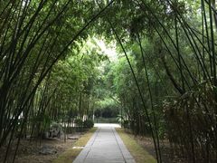 -包公祠