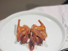 吊烧乳鸽-金狮麟·新豫菜(金码大厦店)