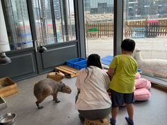 -FAIRYLAND龙族星球主题餐厅(凯丹广场店)