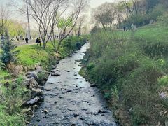 -羊山湖公园