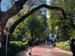 -九龙公园