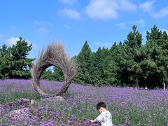 -羊亭河湿地公园