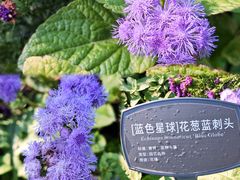 -国家植物园南园