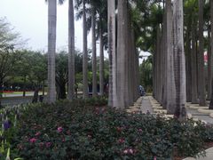 -深圳湾公园(南山区)