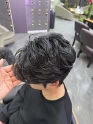 -藤野造型烫染