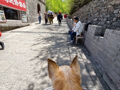 -雁门关景区