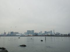 -台场海滨公园船码头