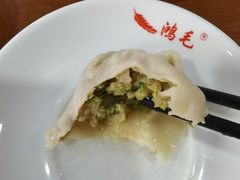-鸿毛饺子(紫竹桥店)
