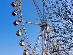 -石家庄市动物园