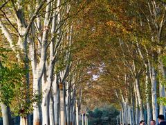 -河南省黄河迎宾馆