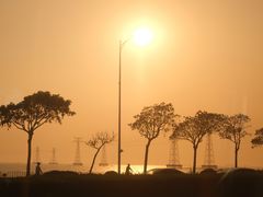 -宝安西湾红树林湿地公园