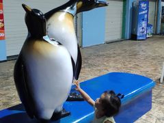 -芜湖新华联大白鲸海洋公园