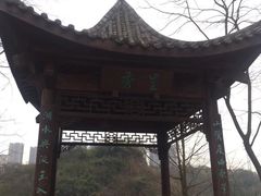-重庆彩云湖湿地公园