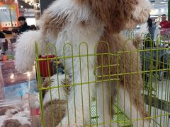 -万达广场(沈阳铁西店)