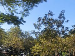 -顺峰山公园