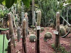 -呀路古热带植物园