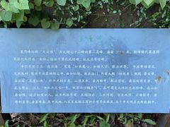 -雨花胜境