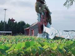 -白洋淀景区