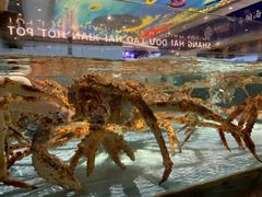 水产区-尚海豆捞(乐虹坊店)