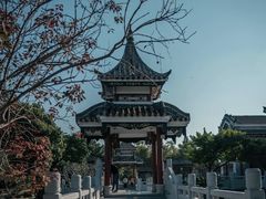 -顺峰山公园