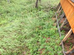 -莫尔道嘎国家森林公园