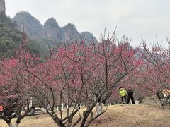 -十九峰景区