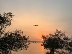 -宝安西湾红树林湿地公园