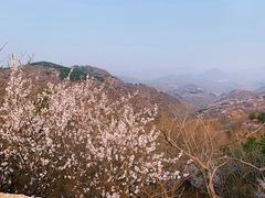 -龙泉峪长城