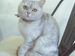 -研途咖啡馆(健康路店)