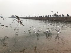 -董记面馆(漳州二路店)