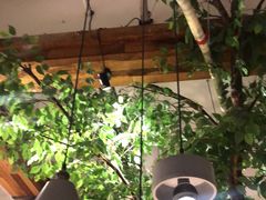 大堂-蜜桃餐厅·伴山(湖滨商业街店)