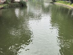 -晓港公园