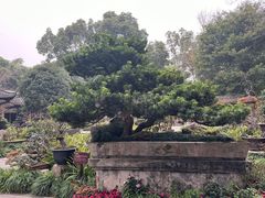 -成都杜甫草堂博物馆