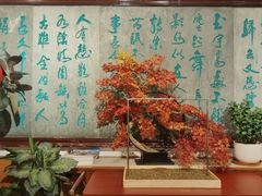 -新川办餐厅