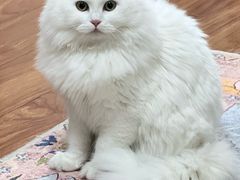 -联合动物医院(光谷诊疗中心)