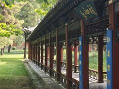 -晋祠公园