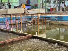 -粮心小农·大头虾亲子生态园(长发店)