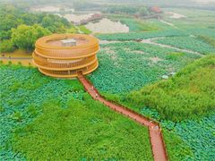 -荷塘月色湿地公园·向阳花洲