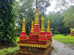 -瑞丽独树成林风景区