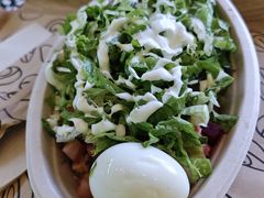 -油梨树AVOCADO TREE(顺义新国展店)