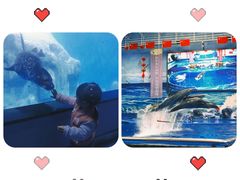 -多彩贵州城极地海洋世界