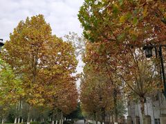 -大渡口区义渡公园