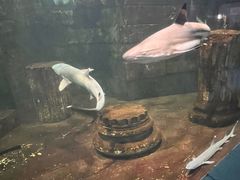 -梦幻海洋王国(吾悦广场张家港店)