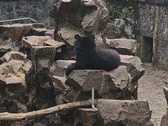 -杭州少年儿童公园
