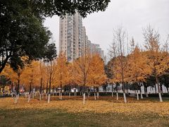 -西北湖绿化广场